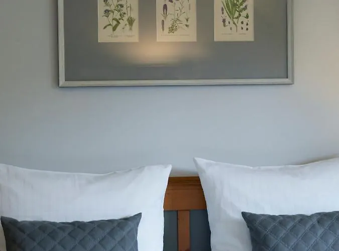 فندق Schloss Pillnitz 4*