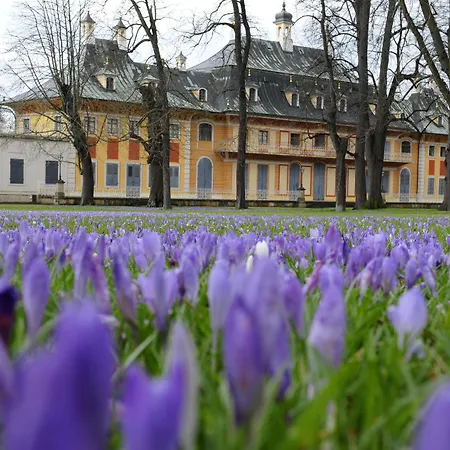 Schloss Pillnitz Drezno